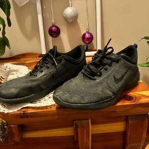 Nike Flex Experience Size 10